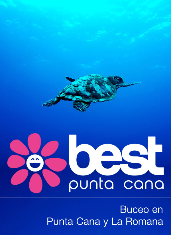 Buceo Bávaro y Punta Cana