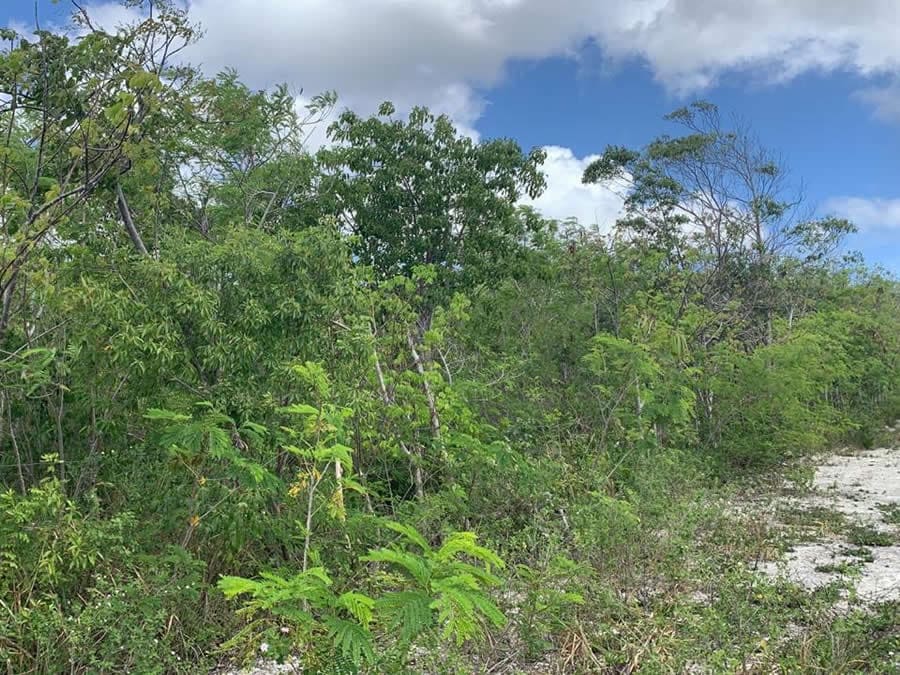 terreno-venta-punta-cana-aeropuerto-3