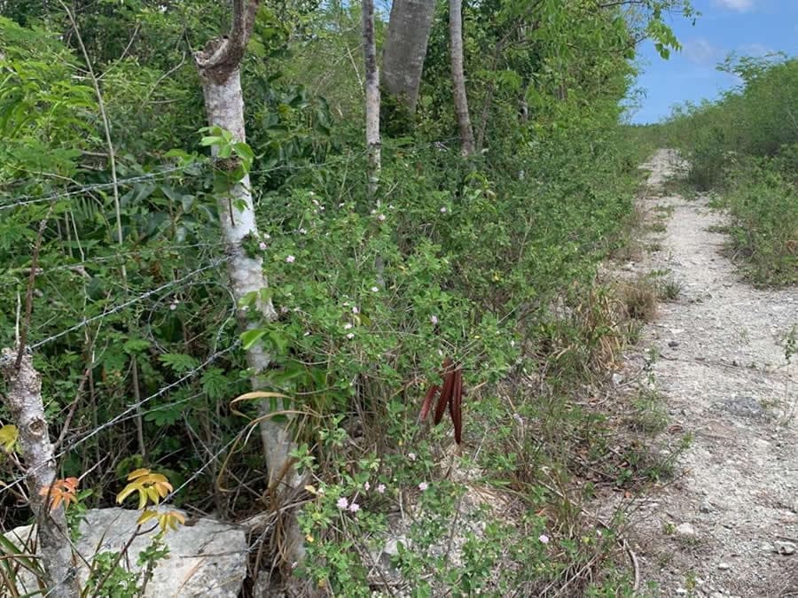 terreno-venta-punta-cana-aeropuerto